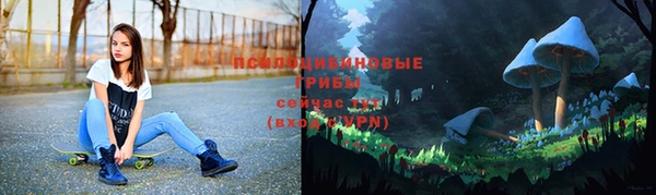стаф Касимов