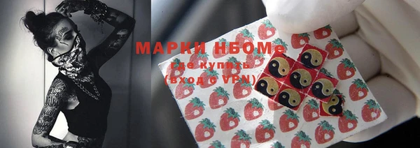 стаф Касимов