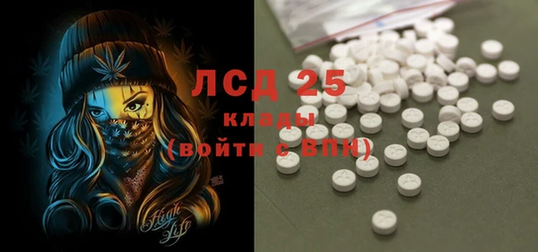 стаф Касимов
