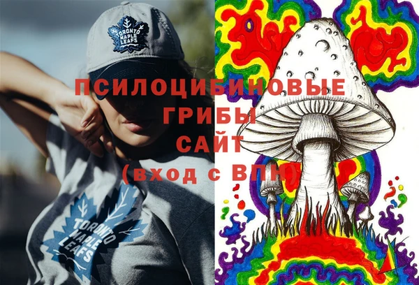 шишки Карталы