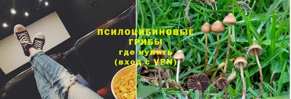 шишки Карталы