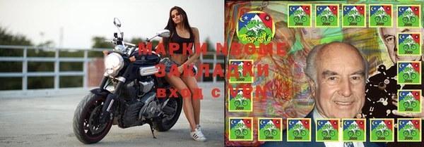 шишки Карталы